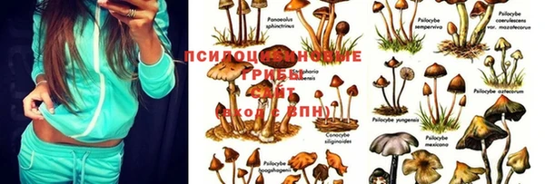 дистиллят марихуана Белоозёрский